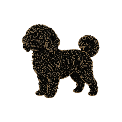 Maltipoo
