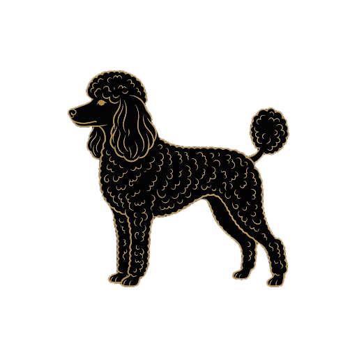 Barboncino Toy