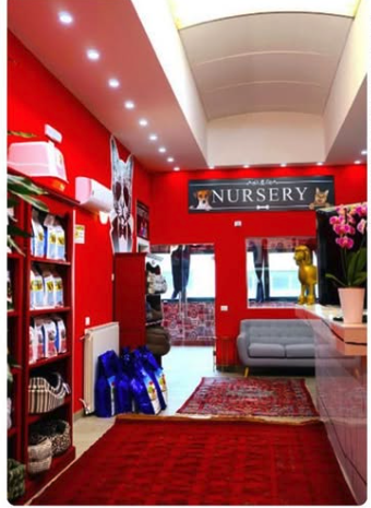 Salon e nursery Pet & Wellness, Faloppio