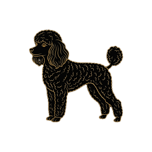 Barboncino Nano